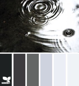 gray rain palette QBL